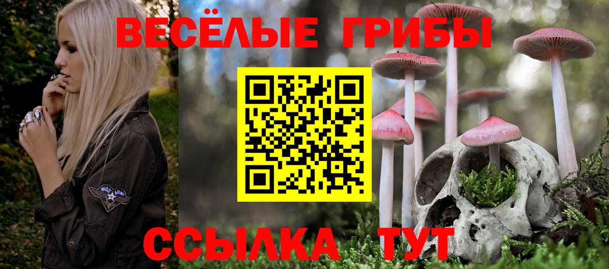 Богданович  Псилоцибиновые грибы Magic Shrooms  Вход с VPN 